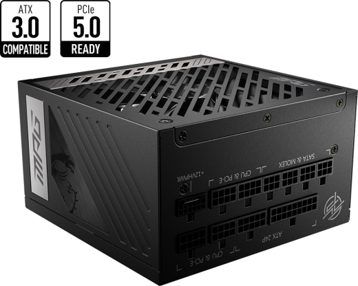 MSI MPG A1000G PCIE5 1000W ATX 3.0